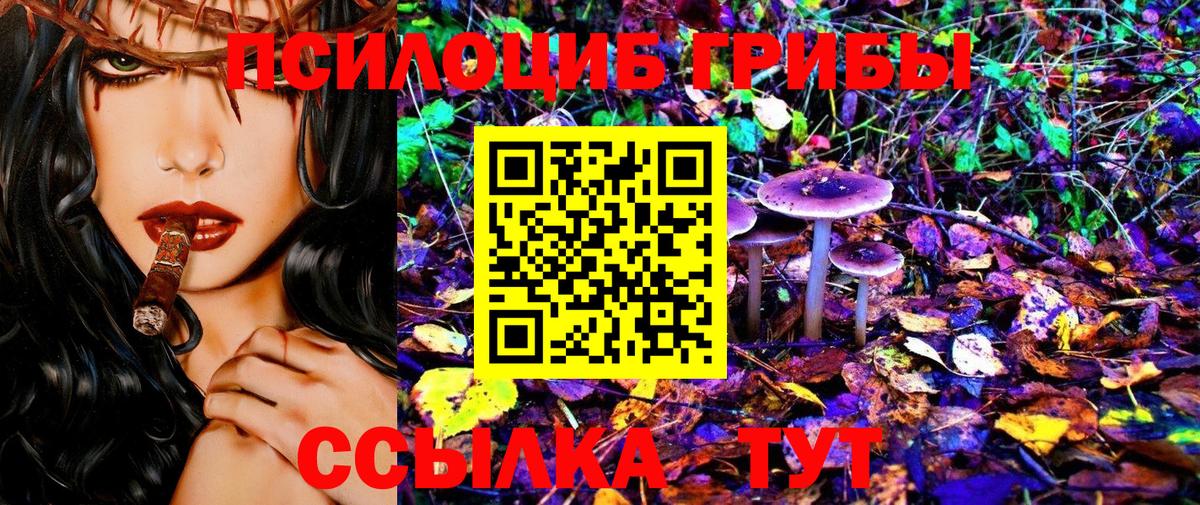 Псилоцибиновые грибы Psilocybine cubensis  Вход с VPN  Бор 